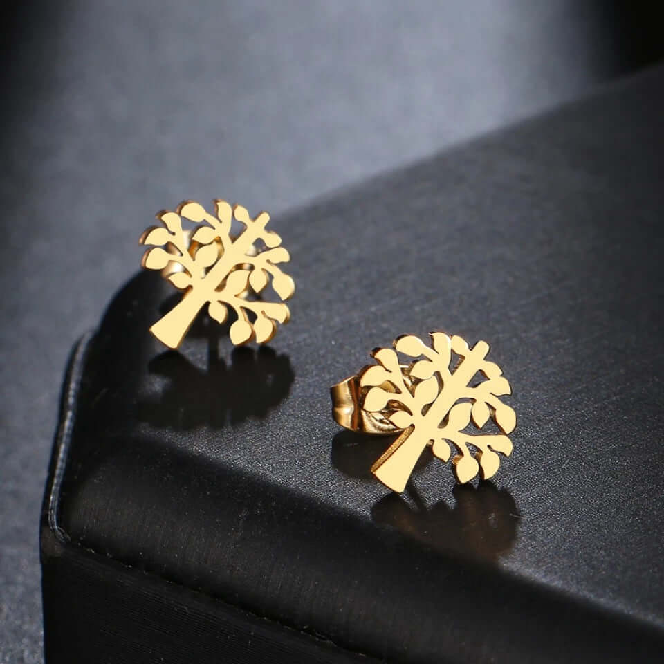 Fortune Charm earrings stainless jewelry no fade gift